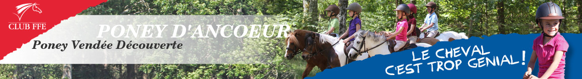PONEY D'ANCOEUR